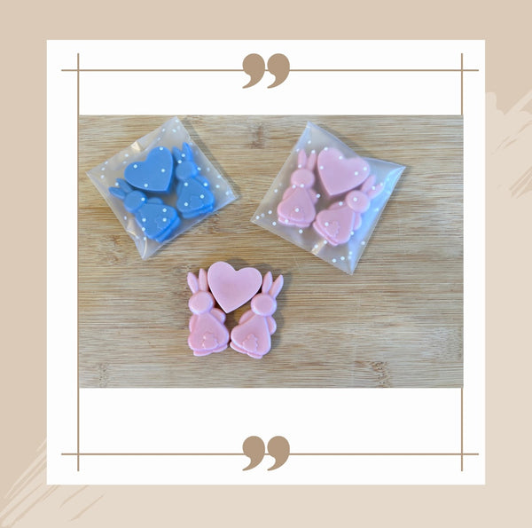 Pink Vanilla & Coco Blossom Wax Melts